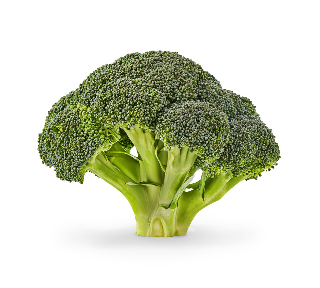 bacola