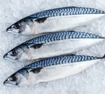 Frozen mackerel – 1kg