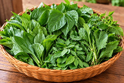 Leaves