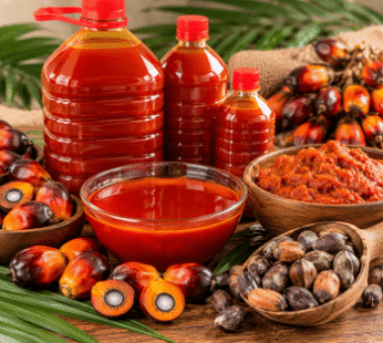 Palm Oil & Palm Cream
