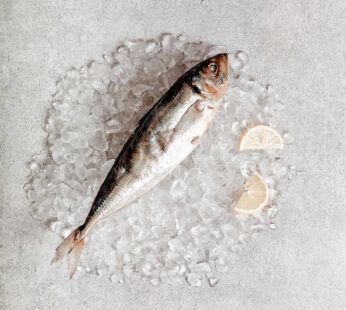 Frozen (Kote) Horse Mackerel – 1kg