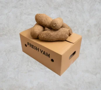 Fresh Yam 1.7kg