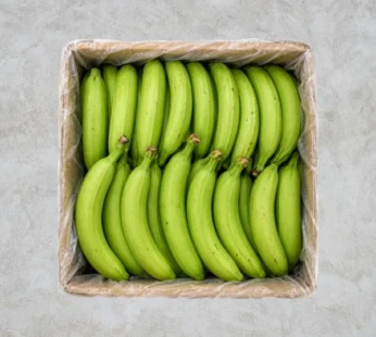 Fresh Plantain Green Box – 22kg